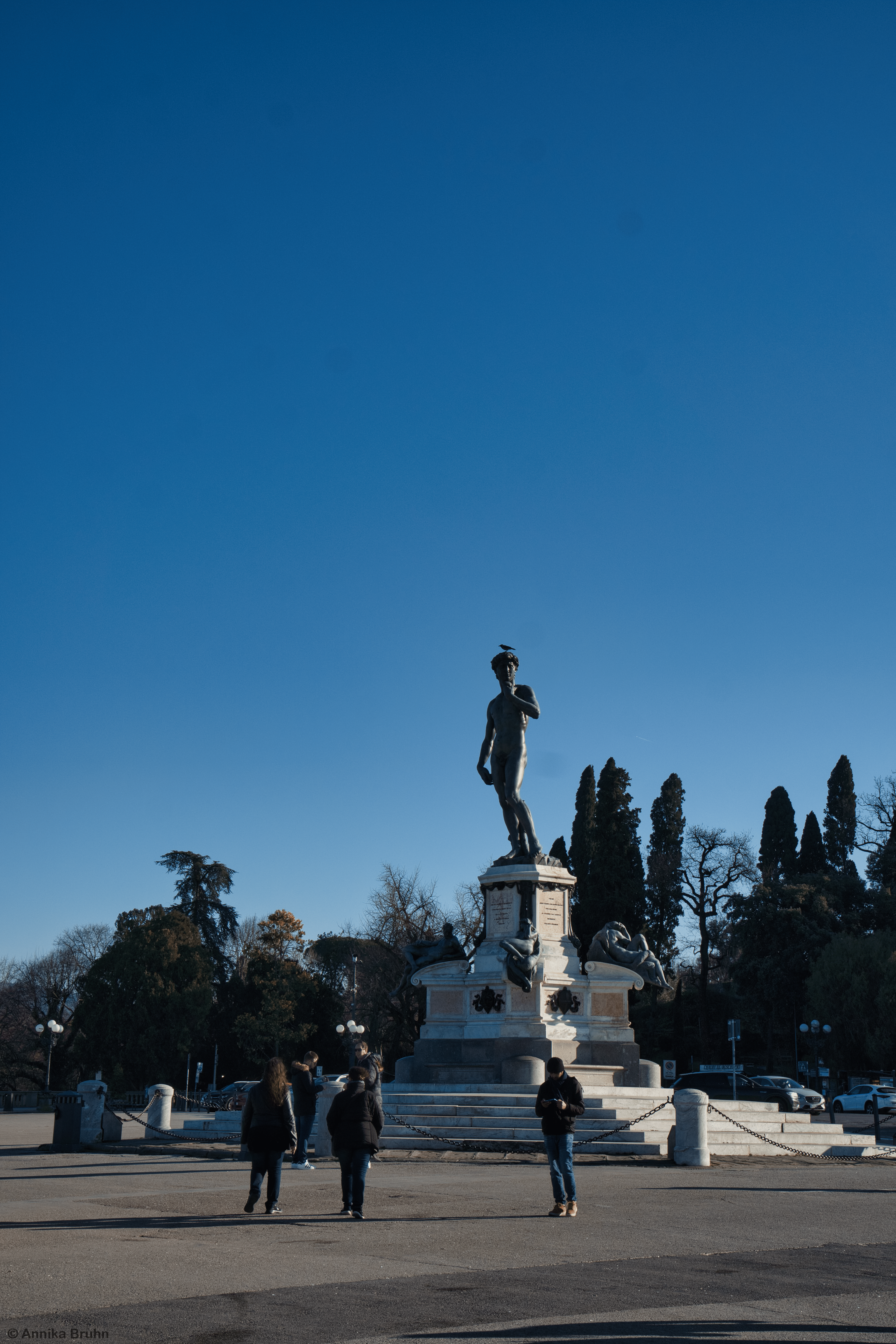 Michelangelo's David
